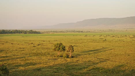 africa aerial shot of beautiful masai mara savanna landscape in kenya, hot air balloon ride flight view from above flying over vast wide open plains and amazing scenery, high up wide shot