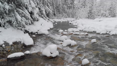 moviéndose hacia los lados sobre winter creek