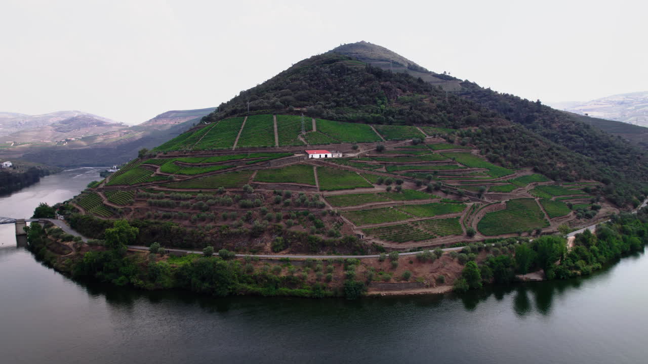 luftbillede af vingårde i douro-dalen i det nordlige portugal