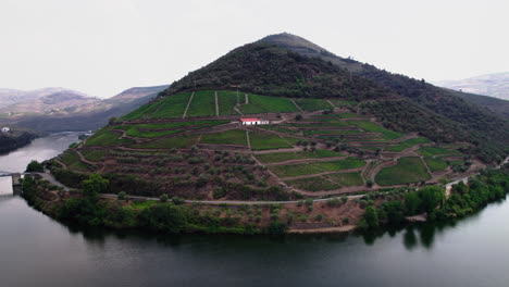 Vista-Aérea-De-Viñedos-En-El-Valle-Del-Duero-En-El-Norte-De-Portugal