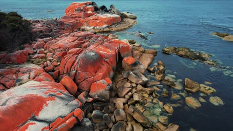 Bay-Of-Fires-Drone-Flyover-Orange-Boulders-Tasmania,-Australia