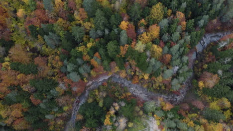 Aerial-footage-over-pyrenees-mountain-forest-and-river-in-autumn-in-north-Spain-during-beautiful-sunset