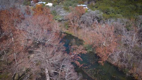 Ein-Clearwater-Creek-Liegt-In-Wimberley,-Isoliert-Mitten-Im-Texanischen-Hügelland,-Während-Die-Verstreuten-Bäume-Und-Blätter-Beginnen,-In-Warme-Farben-Zu-Wechseln