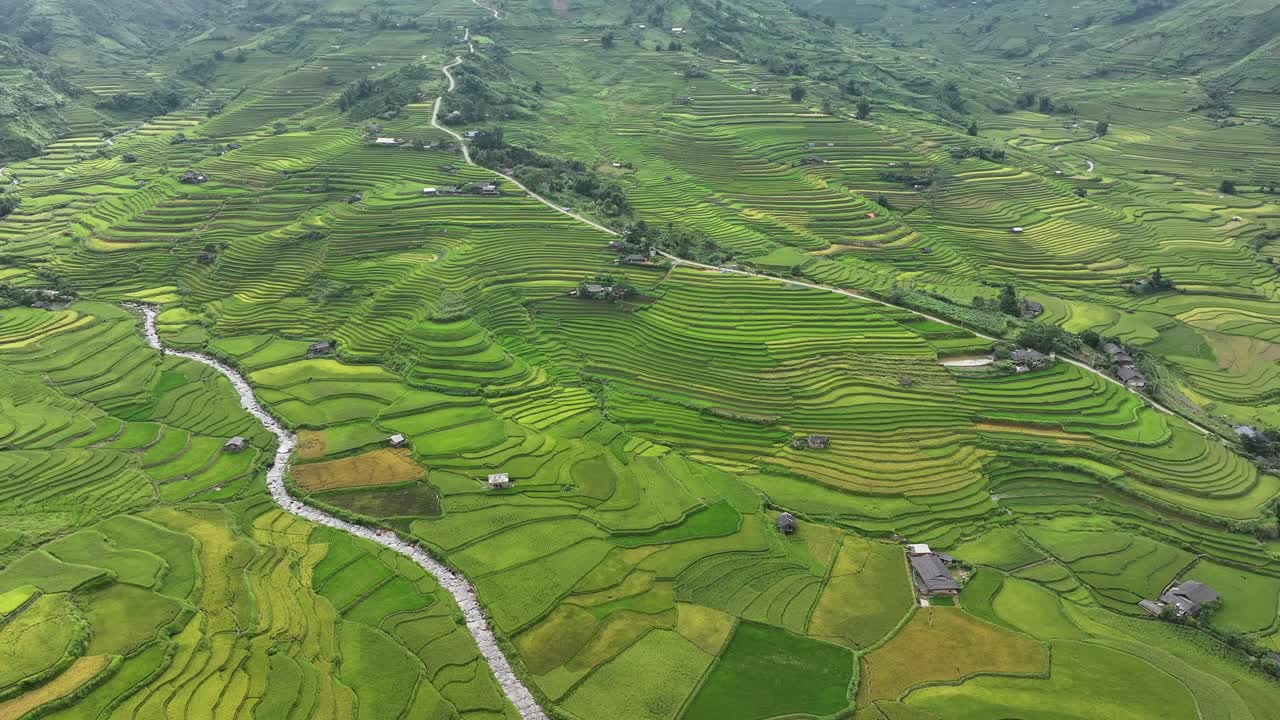 Aerial view of rice terraces field in Mu Cang Chai, Vietnam