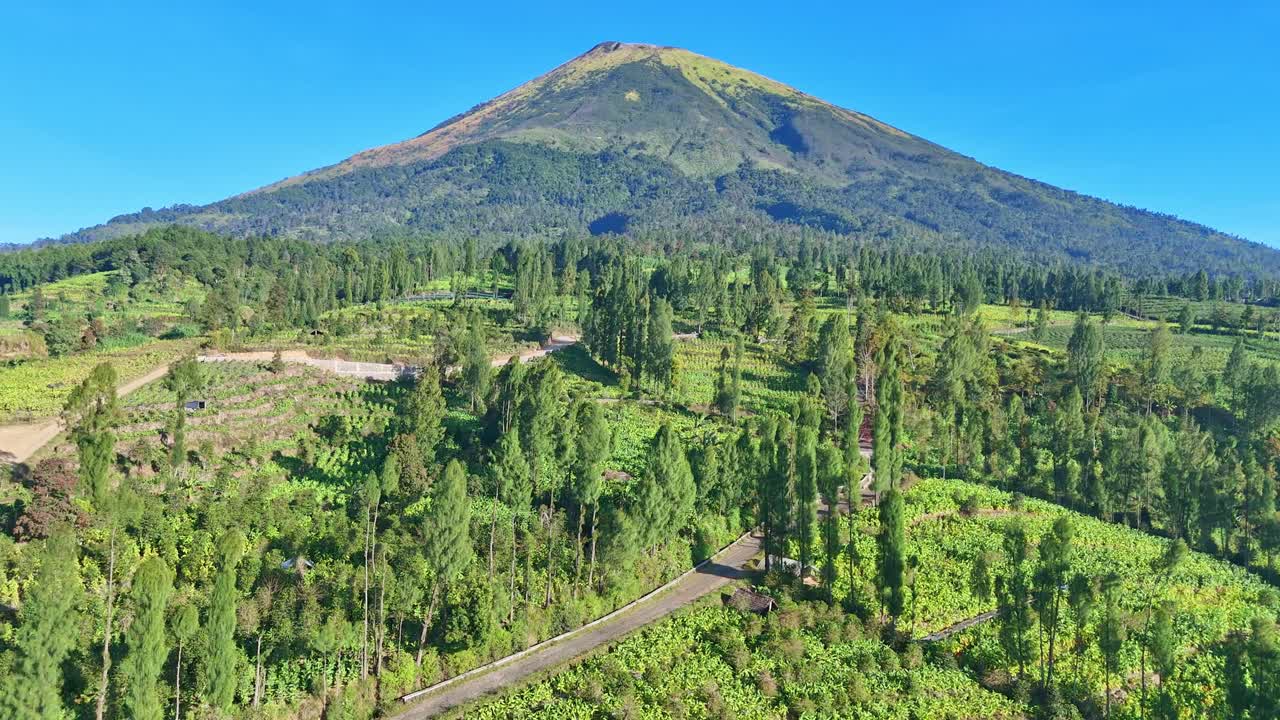 video de avión no tripulado del paisaje del estratovolcán sindoro y los cultivos de tabaco en java central, indonesia