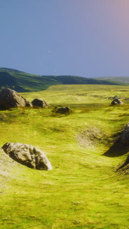 serene grassland landscape with glowing particles