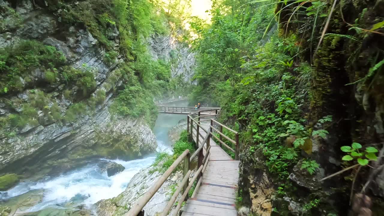 Passerella panoramica in legno in un canyon