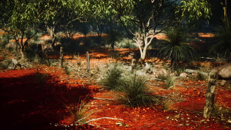 valla de alambre de púas en un paisaje desierto