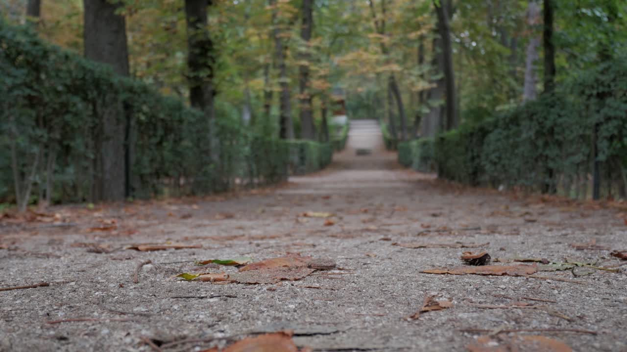 가을 공원에서 산책 하는 부부
