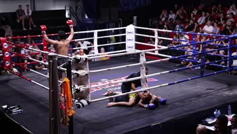 fighter celebrates victory after opponent is knocked out