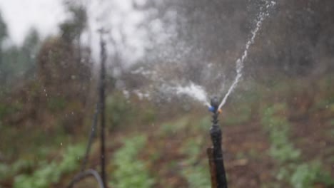 Close up and rack focus of sprinklers