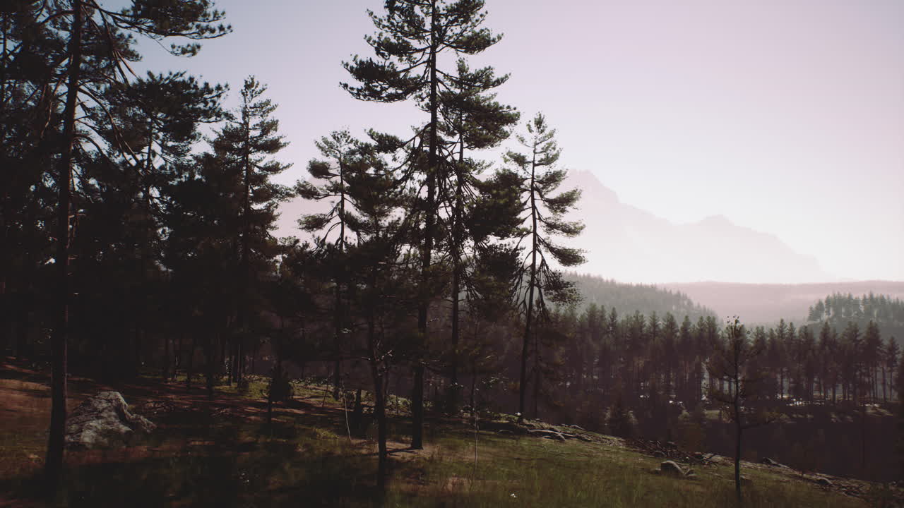 majestuosa vista de las montañas desde un exuberante bosque de pinos