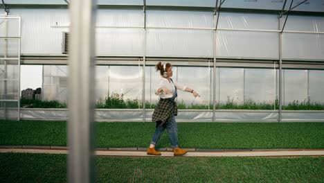 Side-view-of-happy-cheerful-woman-Farmer-listening-to-music-and-dancing-while-walking-along-seedlings-with-plants-in-greenhouse