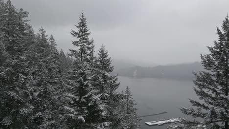 white snow flakes whirling down between pine trees covering branches in white at deep cove at the indian arm inlet on a cloudy day