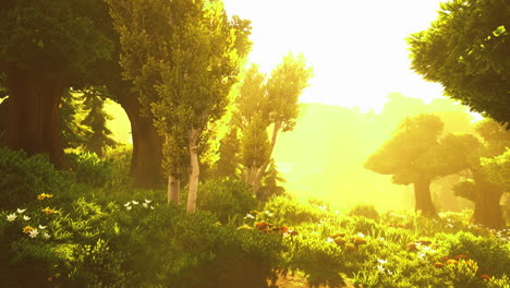 sunlight filters through lush trees in a tranquil forest oasis