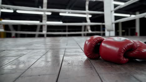boxing gloves in empty ring