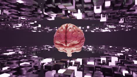 human brain floating inside a tunnel of glowing pink cubic structures. futuristic 3d digital illustration. artificial intelligence and virtual reality concept. design, banner, wallpaper,