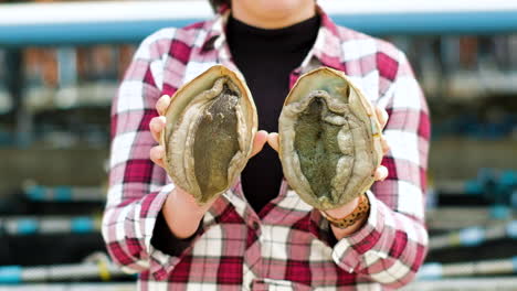 lady holds up two large haliotis midae south african abalone