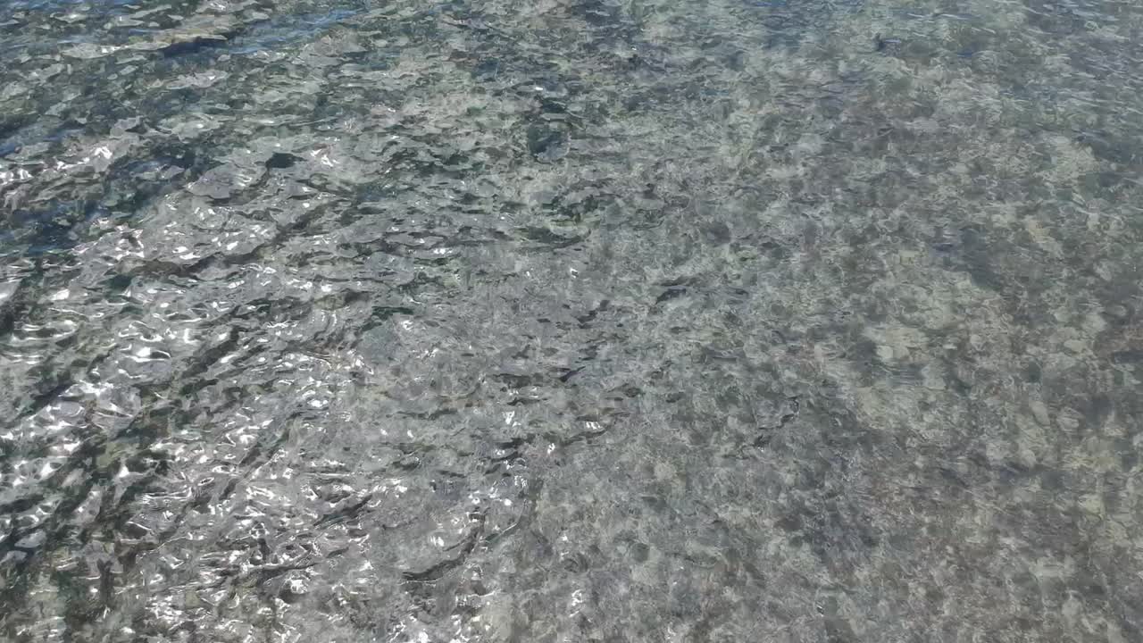 RAW drone video of the sea bottom and in the backgound the chinaman's hat island