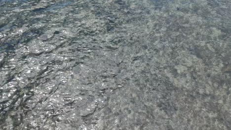 raw drone video of the sea bottom and in the backgound the chinaman's hat island