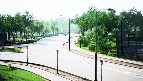 country asphalt road and green trees nature landscape in the summer