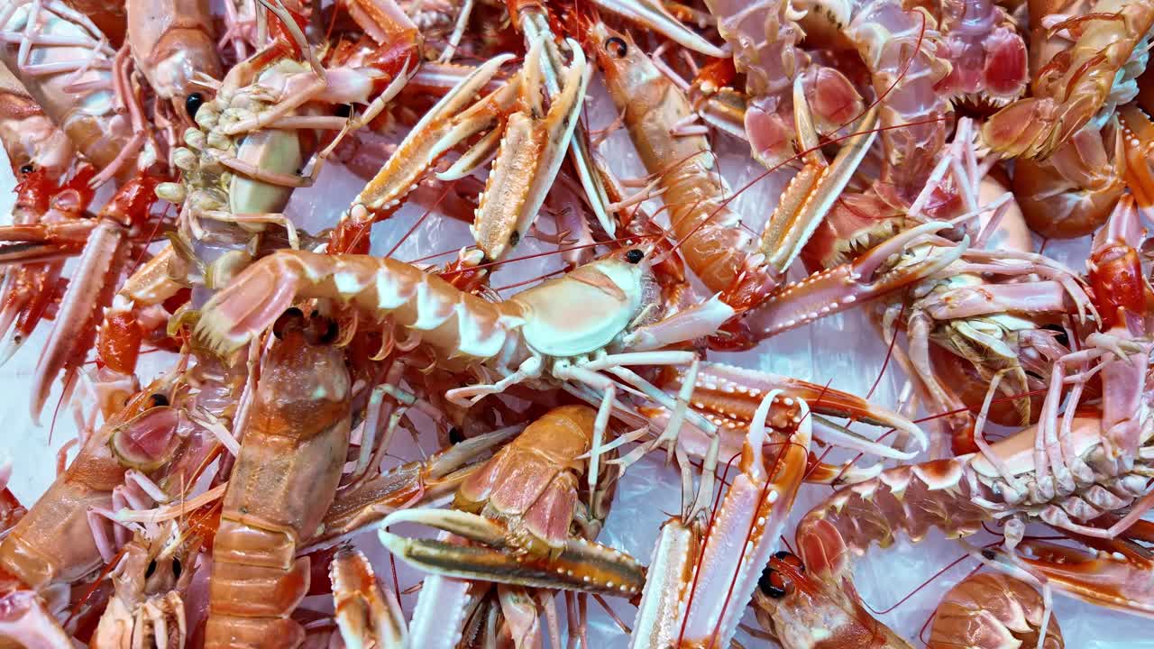 Close-up view of a pile of fresh raw langoustines or Norway lobsters on ice. High quality shellfish ingredients displayed at a fish market or restaurant counter