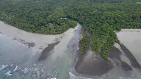 Cape-Tribulation-Daintree-Selva-Tropical-En-El-Extremo-Norte-De-Queensland,-Australia