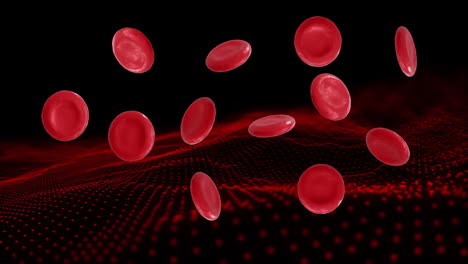 animación de micro de células rojas de la sangre sobre un fondo negro