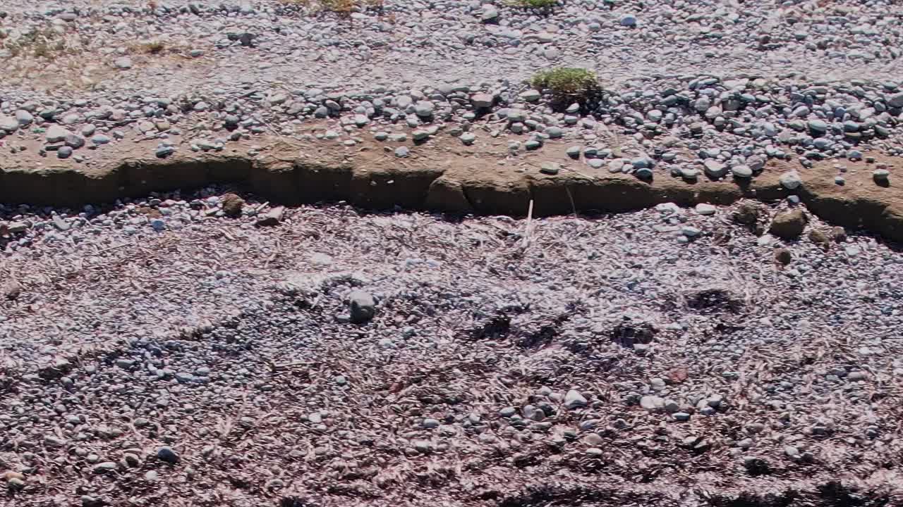Esplora la spiaggia rocciosa lungo la costa di Rodi, in Grecia, con la bassa marea