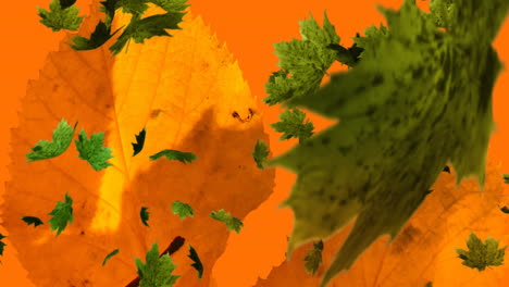 animación de varias hojas de otoño que caen sobre un fondo naranja