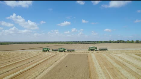 Harvest-Machines-at,-Sdot-Negev,-Israel