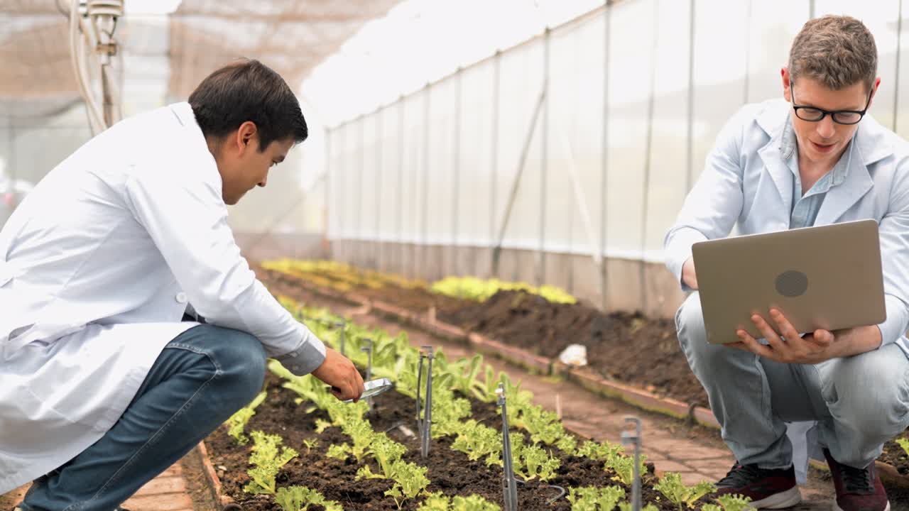 dos jóvenes biotecnólogos en bata blanca usan lupa para comprobar la conferencia del bebé para la investigación y la computadora portátil digital en la granja orgánica. productos de buena calidad, recuerde el cultivo de plantas, concepto del día de la tierra.