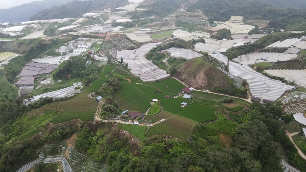 말레이시아의 카메론 하이랜드 지역 내의 브린창 지역의 일반 풍경