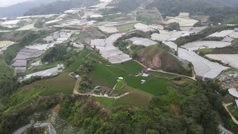 vista general del paisaje del distrito de brinchang dentro del área de cameron highlands de malasia