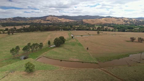 aerial of farm dams cows and paddocks with the goulburn river behind near the town of eildon, victoria, australia