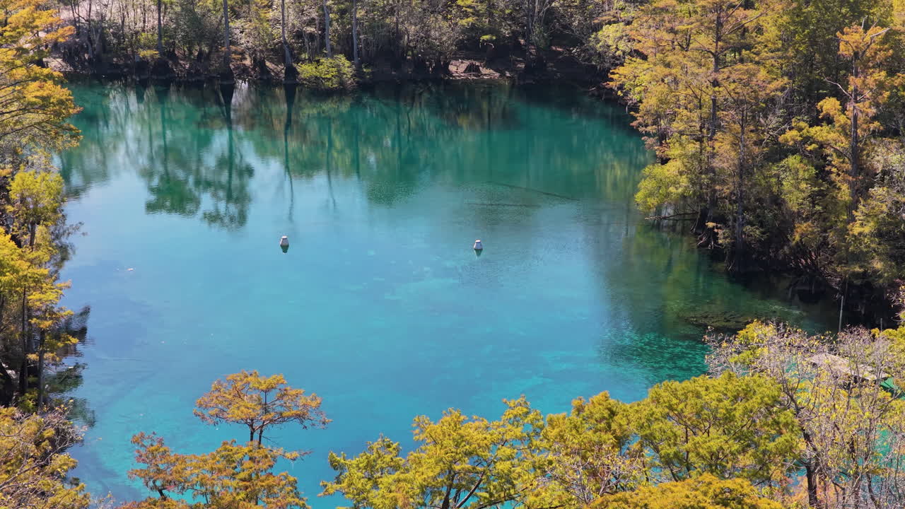 Acqua turchese limpida e cipressi naturali a Morrison Springs in Florida, USA. Ripresa aerea con rotazione.