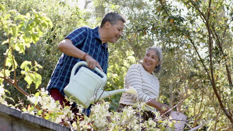 happy biracial senior couple watering plants in sunny garden