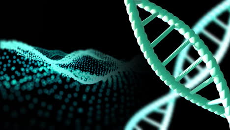 animation of dna strands spinning with copy space over black background