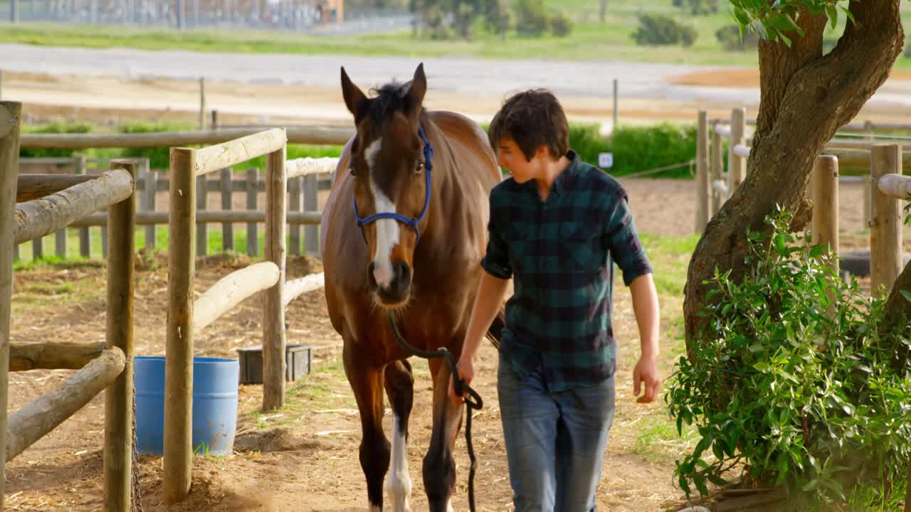 mujer caminando con caballo en el establo 4k