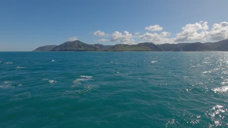 sunshine falls onto calm, turquoise-colored sea before rugged lower north island coastline