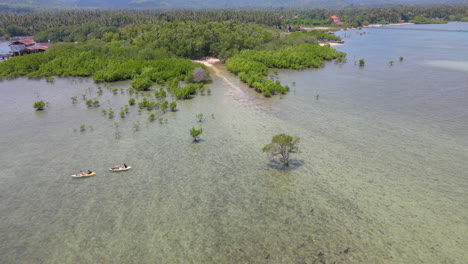 scenery of kayaking activity and the mangrove forest in west bali national park in indonesia