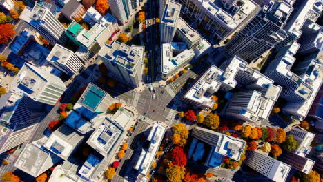 autumn cityscape aerial view