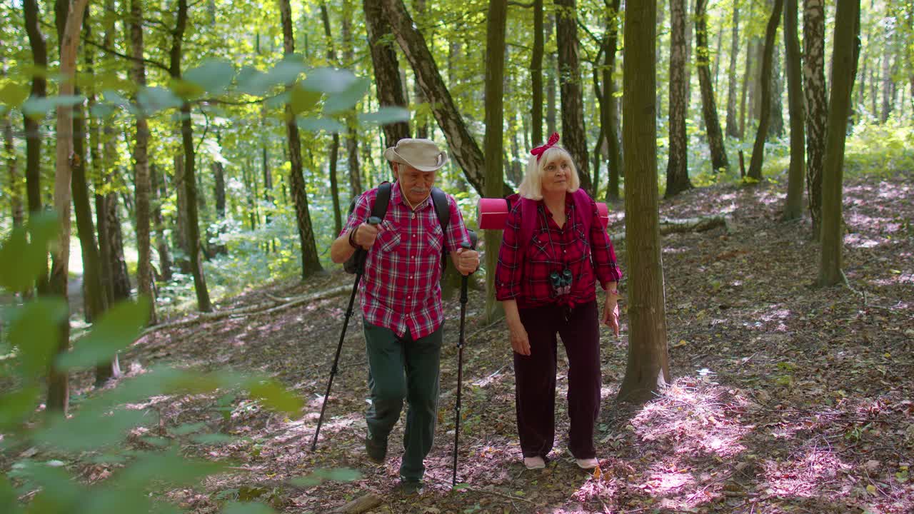 Hombre y mujer mayores felices hablando, practicando marcha nórdica con bastones de trekking, mochilas en el bosque