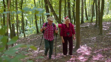 Happy-senior-man-and-woman-talking,-training-Nordic-walking-with-trekking-poles,-backpacks-in-wood