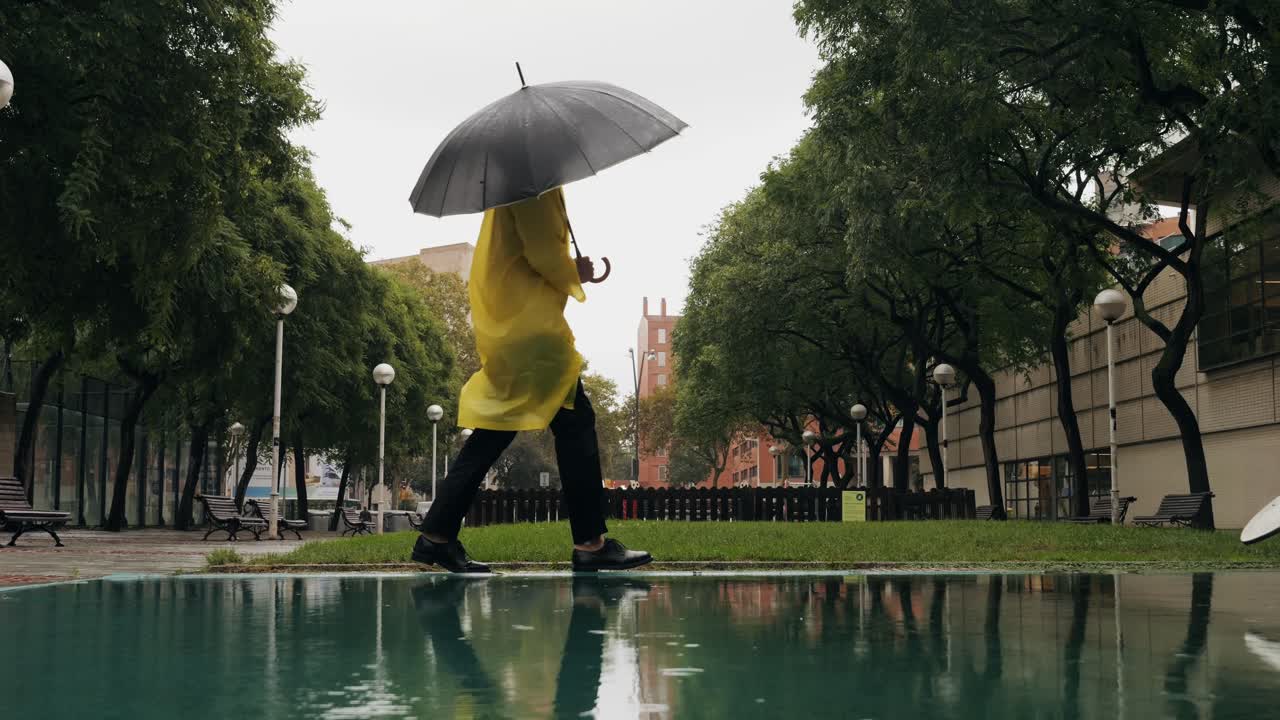 A person with an umbrella walking in a rainy park