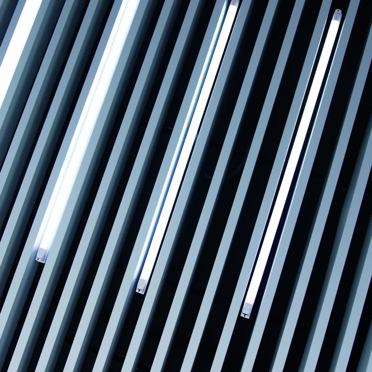 Long white panels decorating the room. Lamps of daylight are a detail of room design