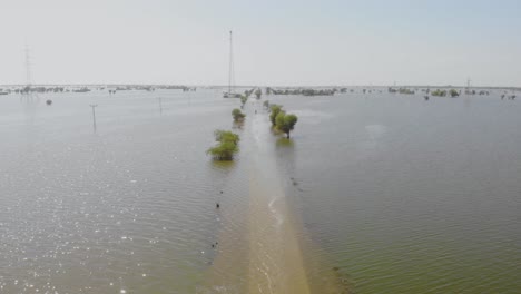 vuelo aéreo sobre el paisaje inundado en jacobabad con carretera visible bajo el agua