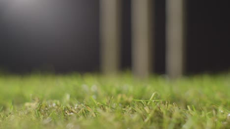 cricket-stillleben mit hand in der nähe, das ball aufnimmt, das vor stümpfen im gras liegt