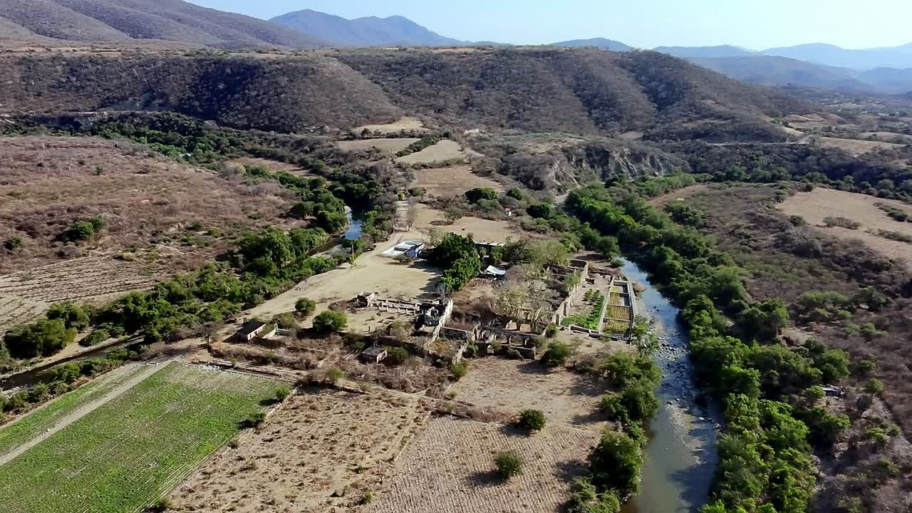View from above of the large trees around the hacienda ruins