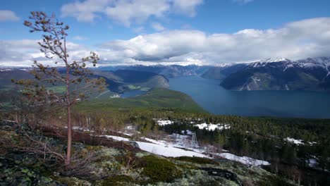 beautiful nature norway. the sognefjorden.